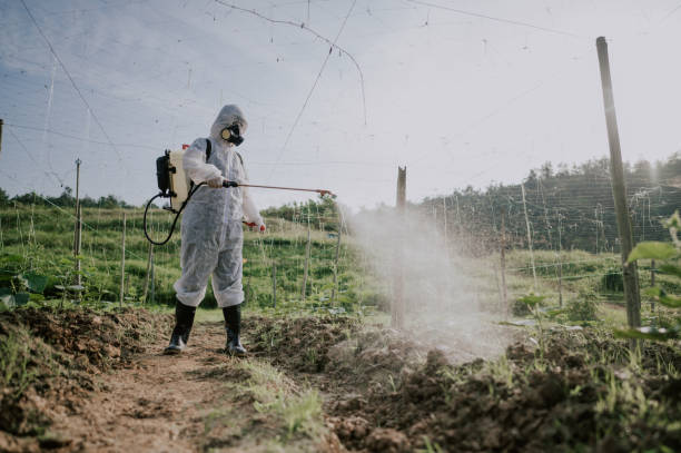 Best Local Pest Control Services  in Dixon, CA